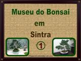 Museu do Bonsai em Sintra